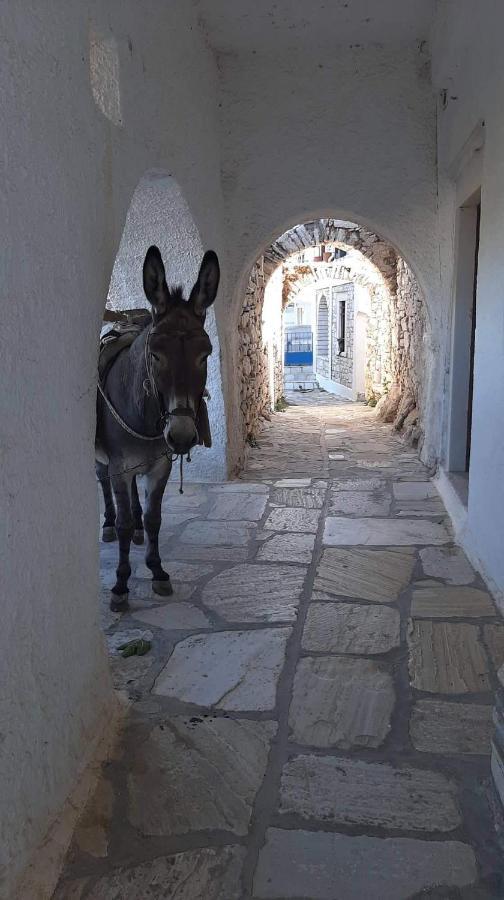 Baros View Διαμέρισμα Απέραθος Εξωτερικό φωτογραφία